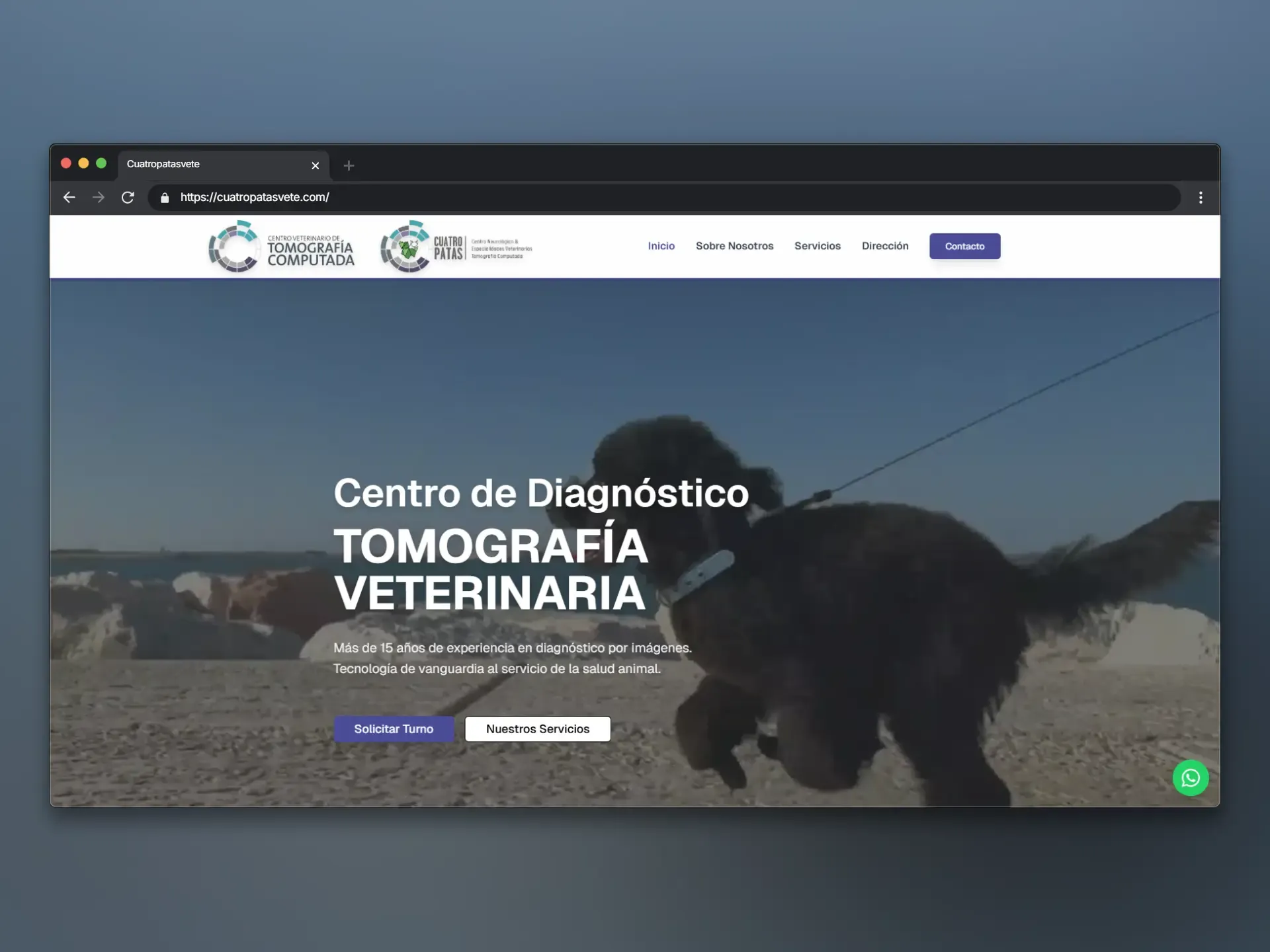 Cuatro Patas - Tomografía Veterinaria